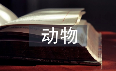 对植物的申明文