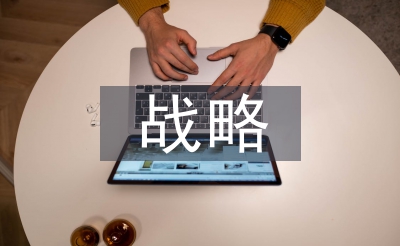 多元化计谋公司案例
