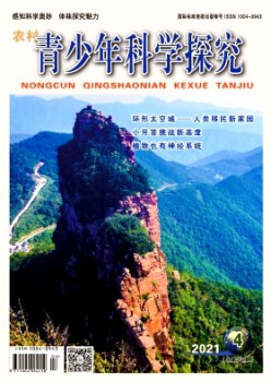 乡村青少年迷信探讨杂志
