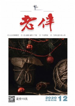 老伴杂志