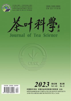 茶叶迷信杂志