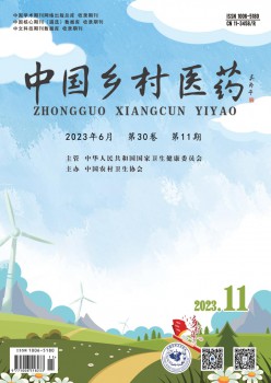 中国村落医药杂志