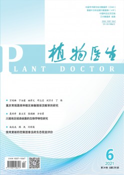 动物大夫杂志