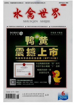 水禽天下杂志