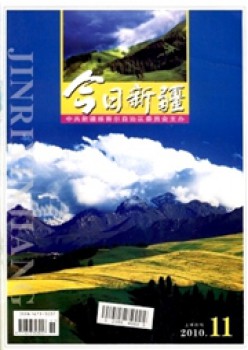 本日新疆杂志