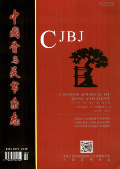 中国骨与枢纽杂志