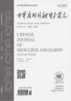 中华肩肘内科电子杂志