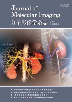 份子影象学杂志