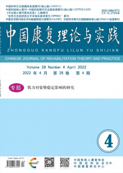 中国病愈实际与实际杂志