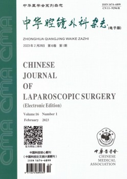 中华腔镜内科杂志