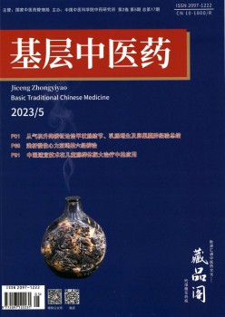 下层西医药杂志