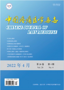 中国痛苦悲伤医学杂志