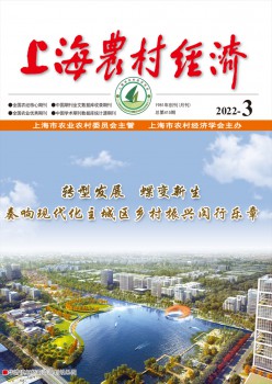 上海村落经济杂志