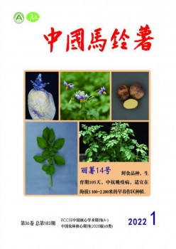 中国土豆杂志