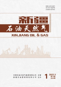 新疆煤油天然气杂志
