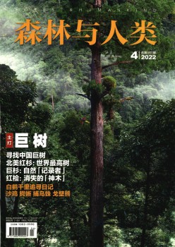 丛林与人类杂志