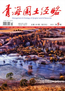 青海河山经略杂志