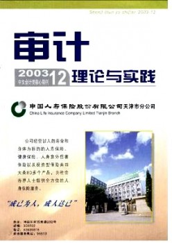 审计实际与实际杂志