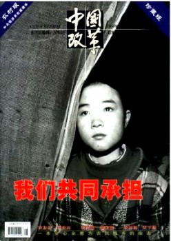 中国鼎新·村落版杂志